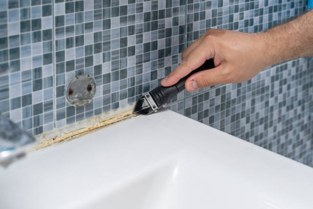 Mold Testing and Removal in Paxtang, PA